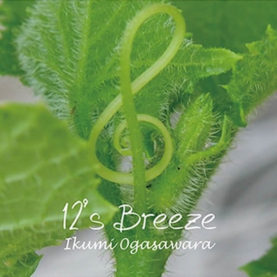 12'Breeze　小笠原育美